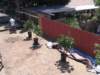 img_3653_small.jpg
